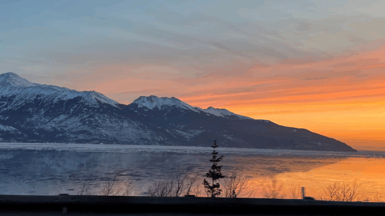 The Benefits of SBA 8(a) Certification for Federal Contractors